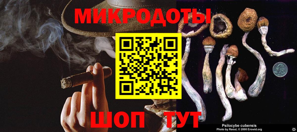Псилоцибиновые грибы MAGIC MUSHROOMS Губкин