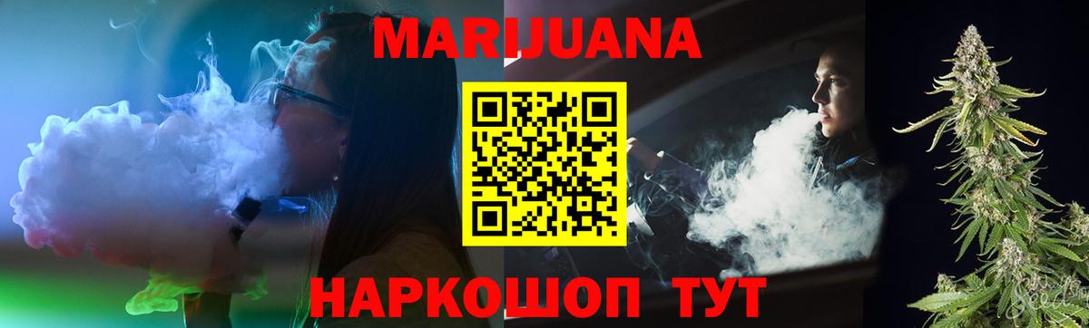 Каннабис сатива Губкин